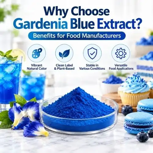 Why Choose Gardenia Blue Extract? Benefits for Food Manufacturers